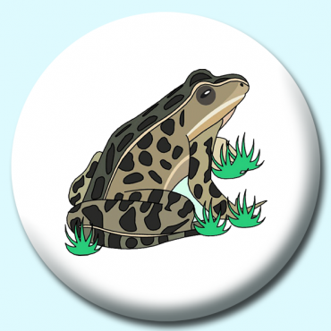 38mm Toad Button... 